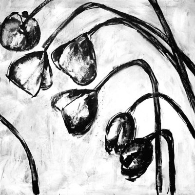 jaron black and white poppies ii