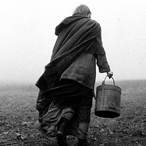 the turin horse