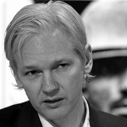 assange