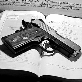 declaration bible gun