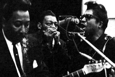 ABC of the blues Muddy Waters Little Walter Bo Diddley