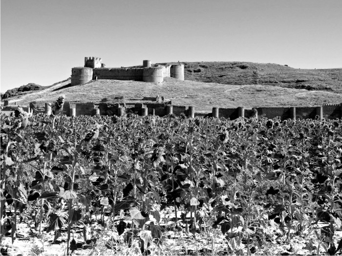 Castillo de Berlanga de Duero 1p