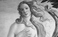 Simonetta y Amerigo: dos avispas en el escudo de los Vespucci