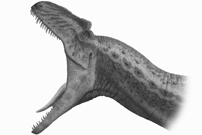 Jurassic Porn 1 oie GrJ1BwtR9tyf 1