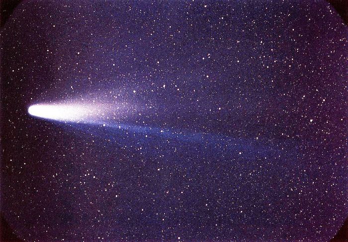 Lspn comet halley result