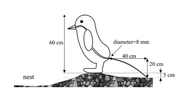 penguin result