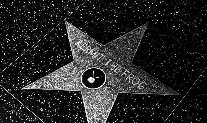 Kermit the frog hollywood walk of fame resultPO