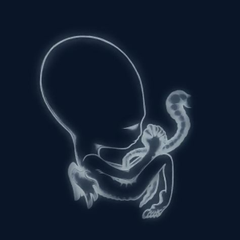 gætisByrjunCover result