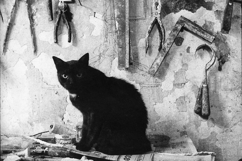 El gato de Giacometti: arte, fetichismo y canibalismo 2 oie 6tGQur7KPX6dpo