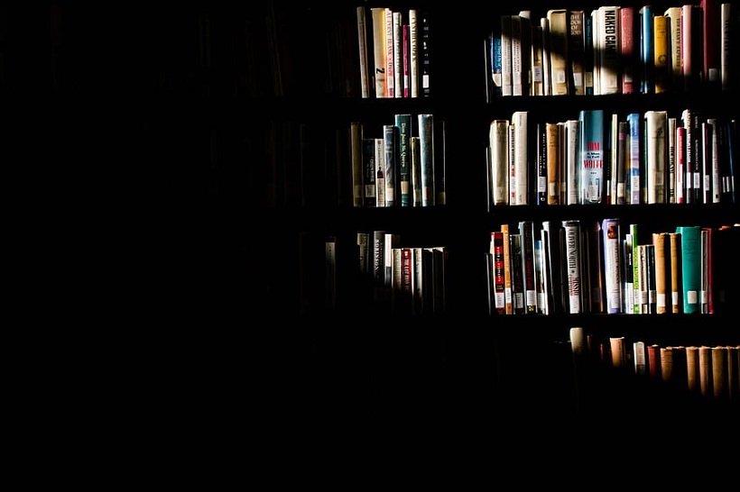 sunlight shelves books library