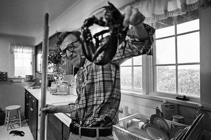 Woody Allen, Dios y la Loren 1 anniewood