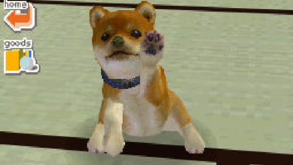 nintendogs