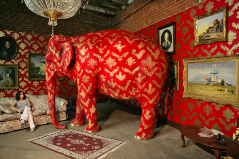 El virus y el elefante 1 28251201308 772c68e525 o