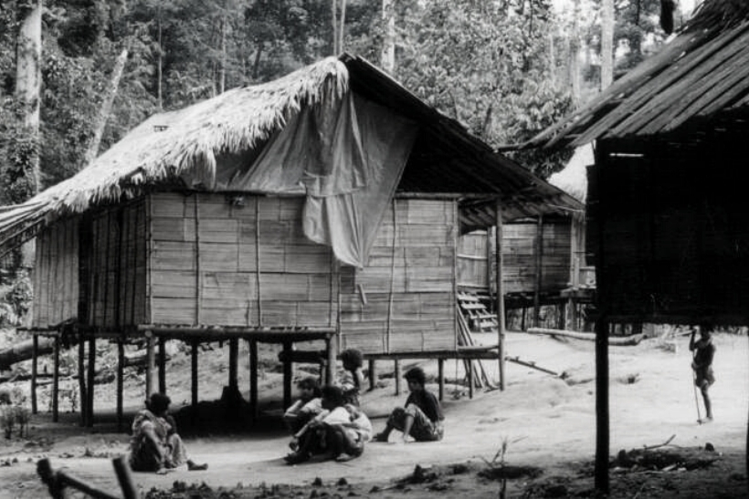 Tribu blanco y negro