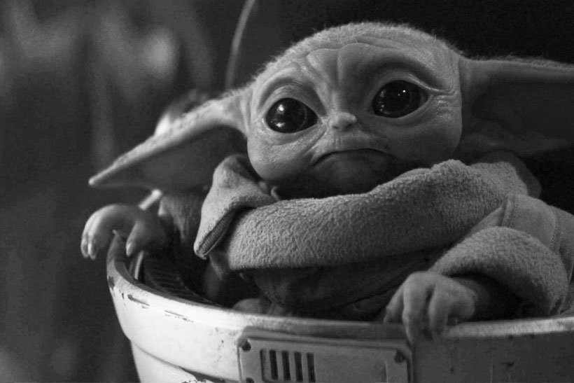 babyyoda1po