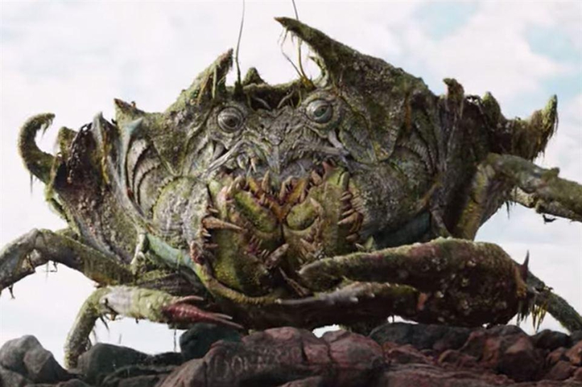 La gran superficie es un cangrejo gigante 1 cangrejo superficie