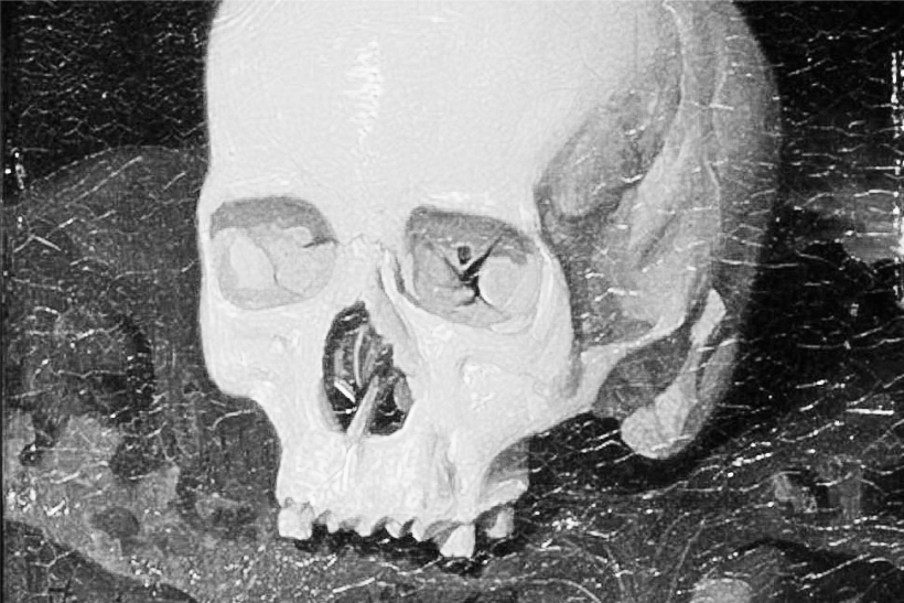 Cráneo de Goya detalle por Dionisio Fierros disloques