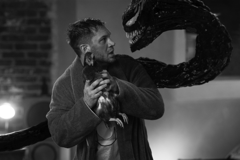 Venom Habrá matanza Imagen Sony Pictures bn