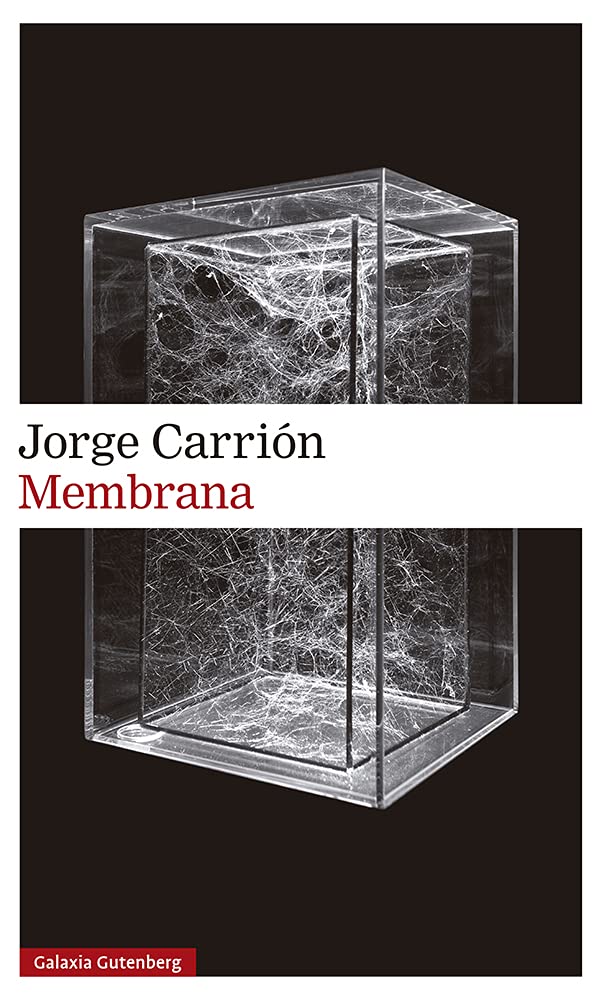 membrana-jorge-carrion-redes-neuronas