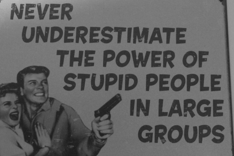 La insistencia de la estupidez humana