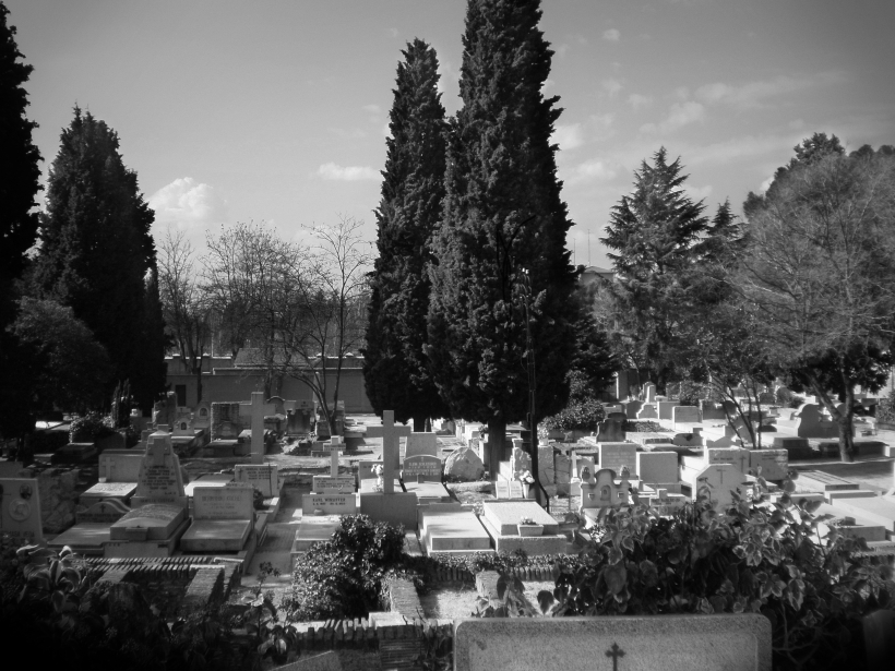 ver muertos cementerio