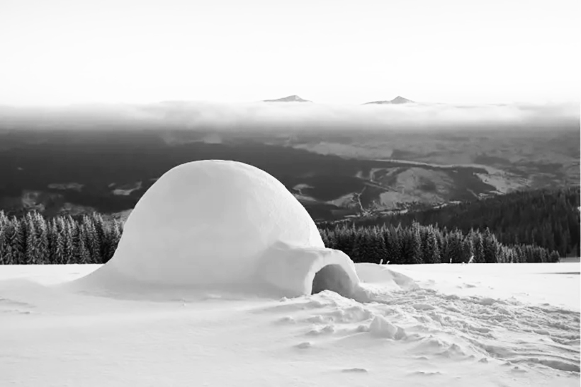 círculo vicioso nieve