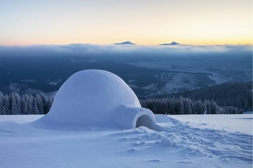 círculo vicioso nieve