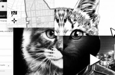 Don' Fk with Cats encuesta true crime po