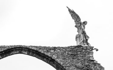 El_Ángel_Exterminador_∕_The_Exterminating_Angel