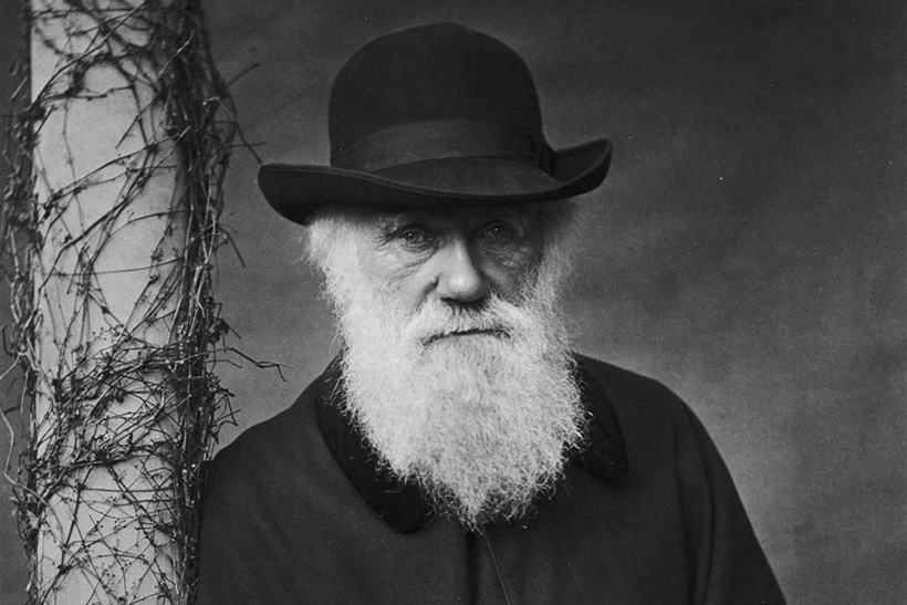 El asesino de Adán y Eva (y 3) 1 Charles Darwin. DP adán y eva