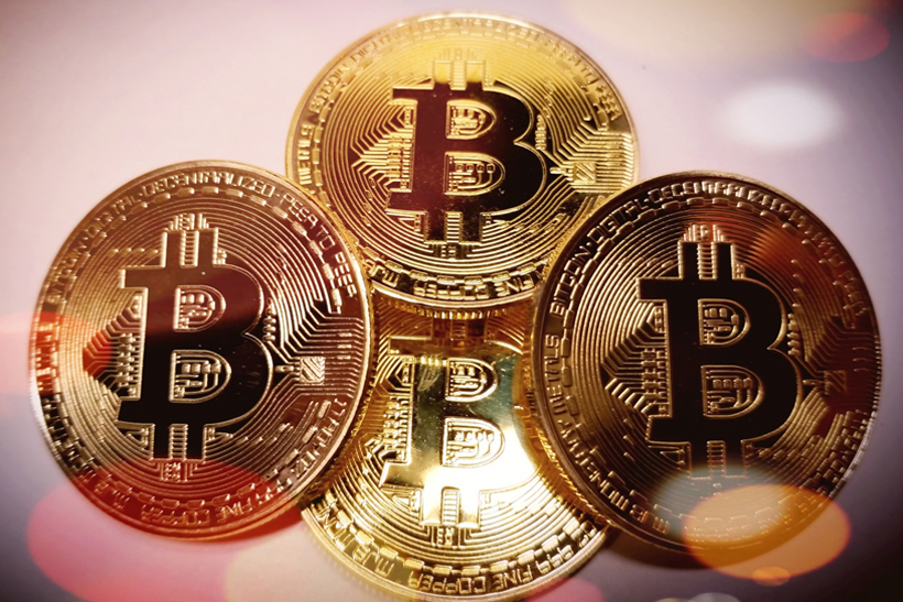 Cómo ser un criptolai de éxito 1 Cripto
