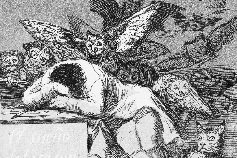 Detalle de «El sueño de la razón produce monstruos», grabado n.º 43 de Los Caprichos, de Francisco de Goya. 19