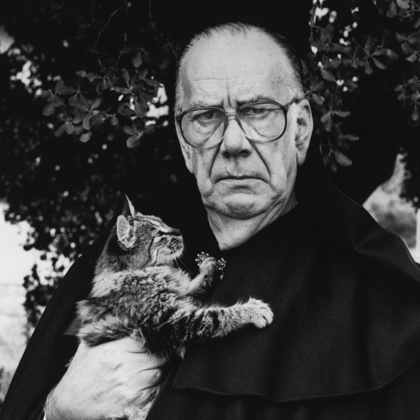 Escritor con gato