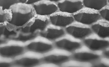 Las abejas y lo invisible