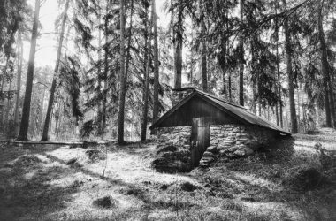 Foto Staffan Cederborg. refugio