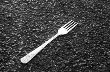 Fotografía Terry Ross (CC) cómo comerse un perro atropellado