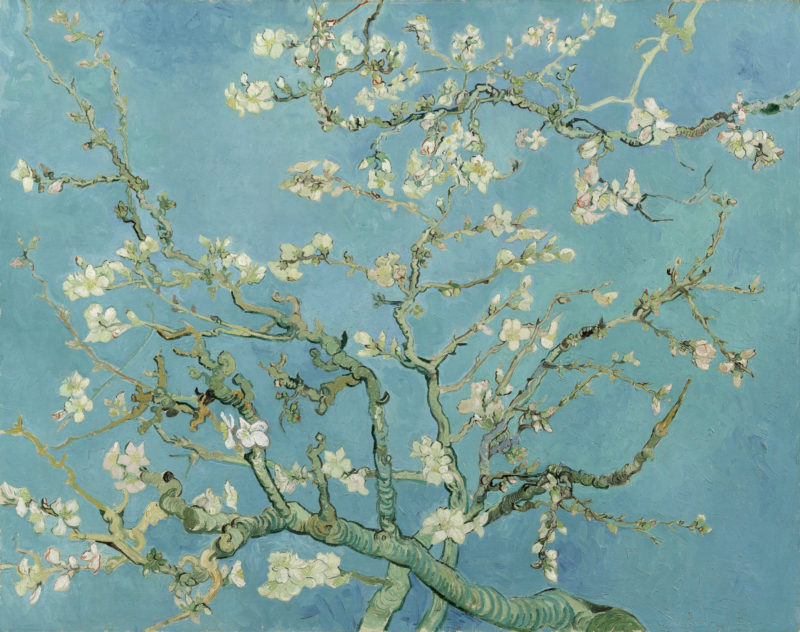 Almendro en flor de Vincent Van Gogh