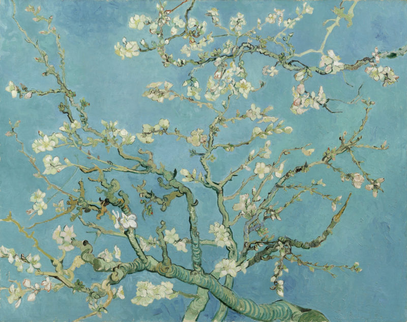 Difuntos bajo los almendros en flor: todo empieza con la muerte 1 Almendro en flor de Vincent Van Gogh