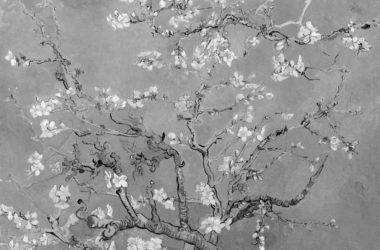 Vincent van Gogh Almond blossom Google Art Projectbn