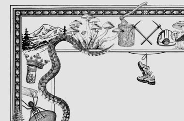 Demon Copperhead, de Barbara Kingsolver.