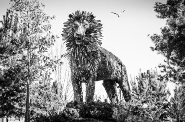 La estatua de Aslan en C. S. Lewis Square, Belfast. (DP)