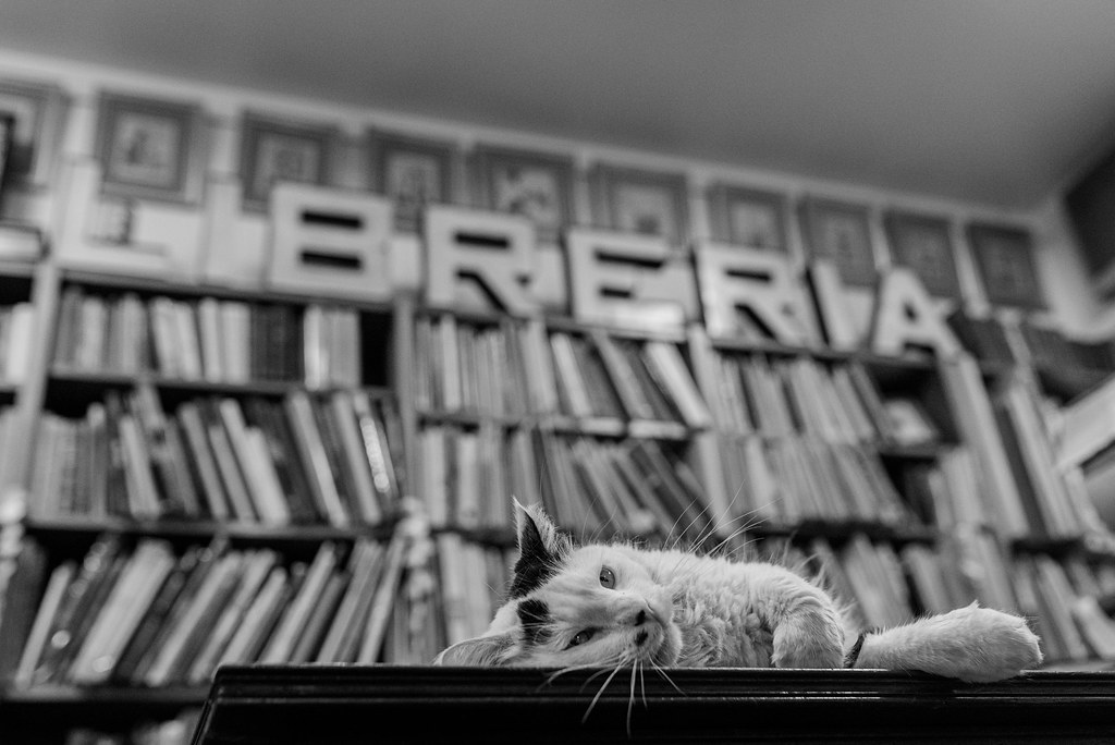 Librerías con encanto: Helena de Buenos Aires 3 Librerías con encanto: Helena de Buenos Aires