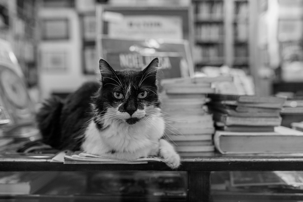 Librerías con encanto: Helena de Buenos Aires 5 Librerías con encanto: Helena de Buenos Aires