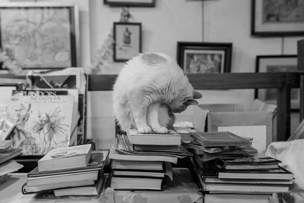 Librerías con encanto: Helena de Buenos Aires 2 Librerías con encanto: Helena de Buenos Aires