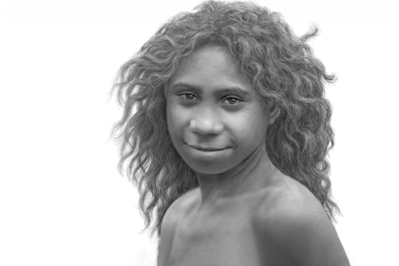 Homo antecessor 1 habn copia