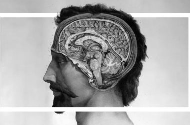 quiz cerebro