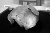 Réplica del hueso VM-0 exhibida en el Museo de Prehistoria de Orce. (DP)