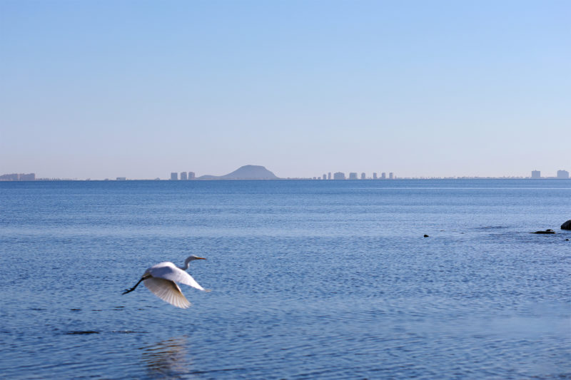 Espejo azul: el renacer del Mar Menor 2 marmenor1