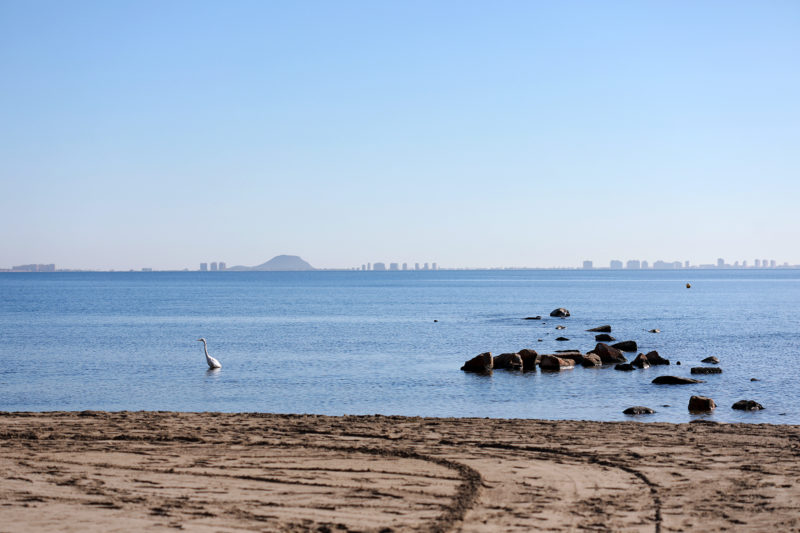 Espejo azul: el renacer del Mar Menor 1 marmenor4
