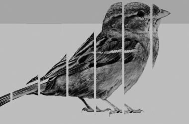 Fractal, de Andrés Trapiello. Imagen Alianza Editorial.